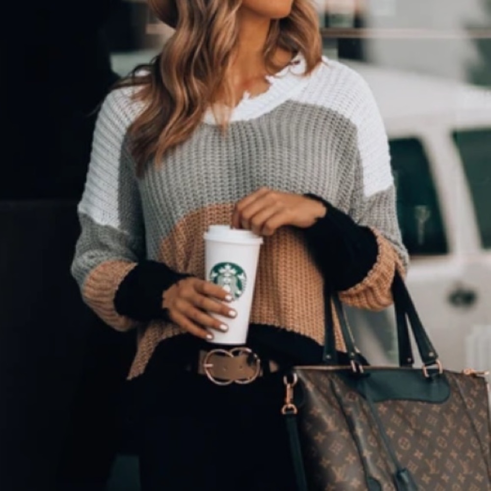 Andree By Unit Colorblock Neutral Distress Sweater - image 1